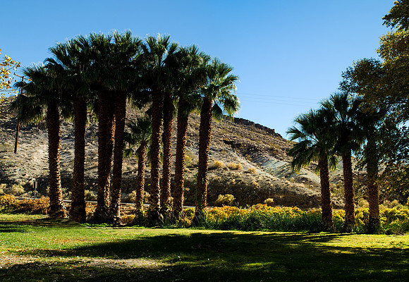 Scotty's Castle Oasis