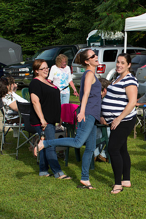 MS_2015_009