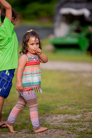 MS_2015_014