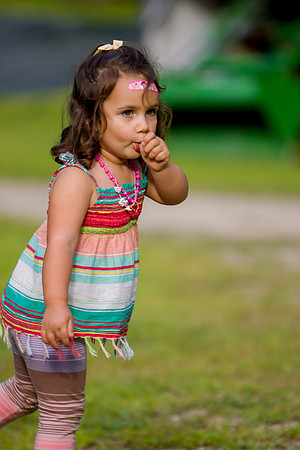MS_2015_015