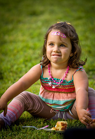 MS_2015_030