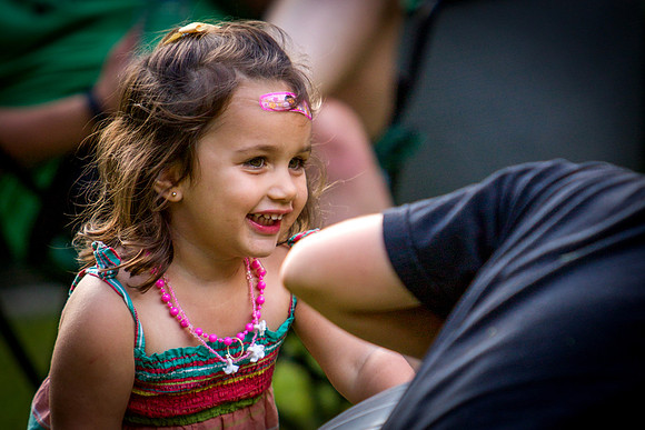 MS_2015_032
