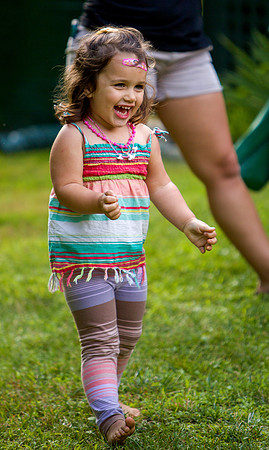 MS_2015_033
