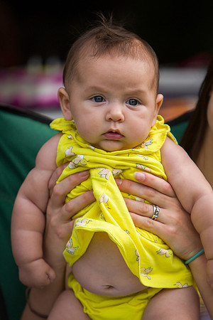 MS_2015_042