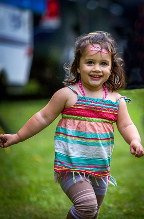 MS_2015_078