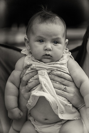 MS_2015_042_bw
