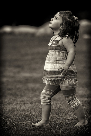 MS_2015_065_bw