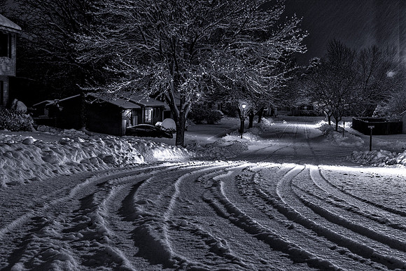 RSP_7813