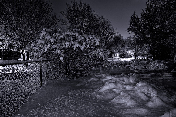 RSP_7815