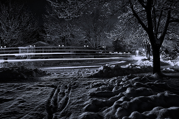 RSP_7817