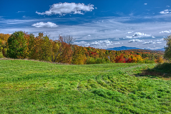 _SP_6168