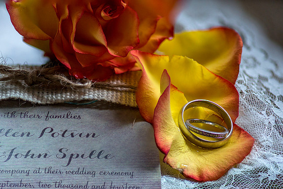 CMS_Rings_2 crop