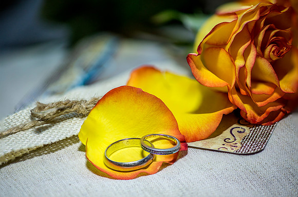 CMS_Rings_3