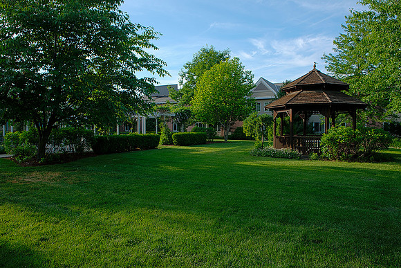 double tree_HDR2