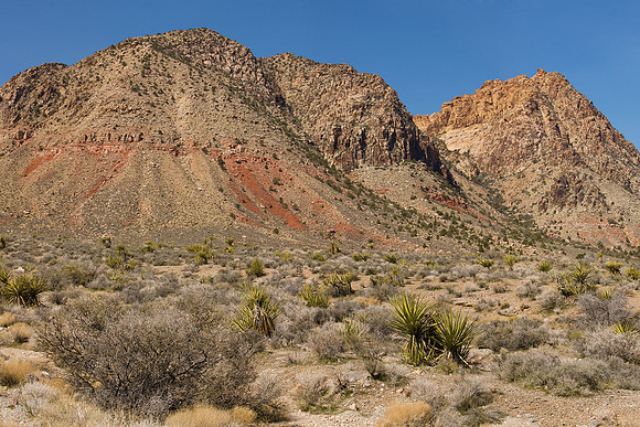 Nevada Outback Pano web