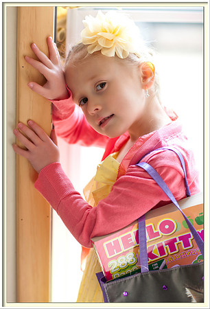 _RSP3924 framedcopy