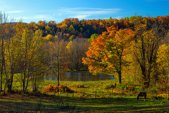 Moose Run Pond