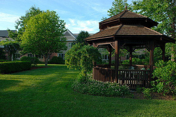 double tree 2_HDR2